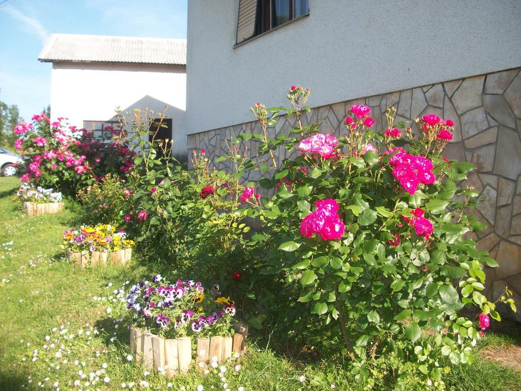 Willa House Veljko Vrhovine Zewnętrze zdjęcie